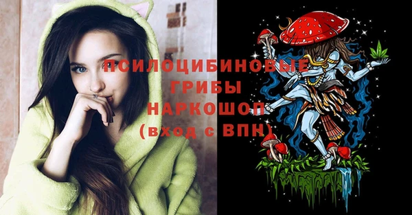 гашик Баксан